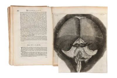 Lot 1253 - Hooke, Robert, Micrographia