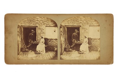 Lot 170 - T. R. Williams Stereocard, Scenes in Our Village, Little Mary and her Magpie