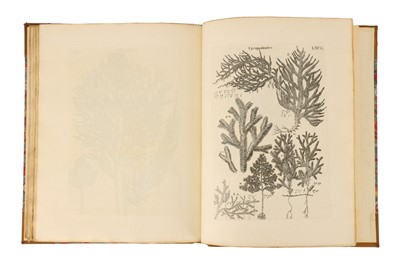 Lot 1230 - Historia Muscorum, Historia Muscorum, 1763