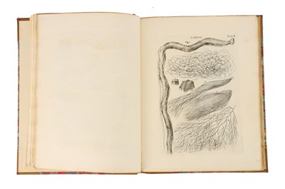 Lot 1230 - Historia Muscorum, Historia Muscorum, 1763