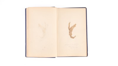 Lot 800 - Flintoft's Collection of Mosses  in the English Lake District