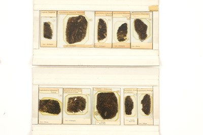 Lot 342 - A Set of Microscope Coal Fossil Slides