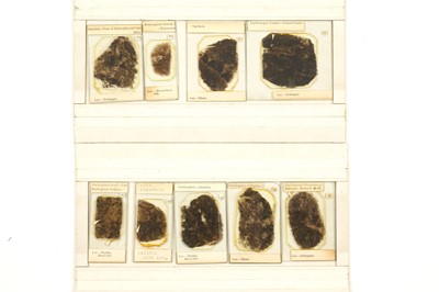 Lot 342 - A Set of Microscope Coal Fossil Slides