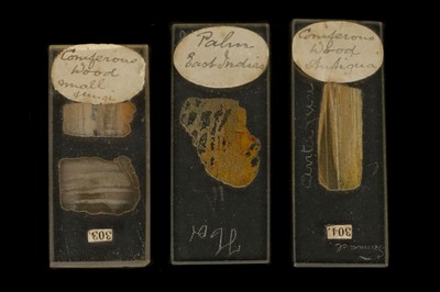 Lot 346 - A Collection of Early Geological Slides