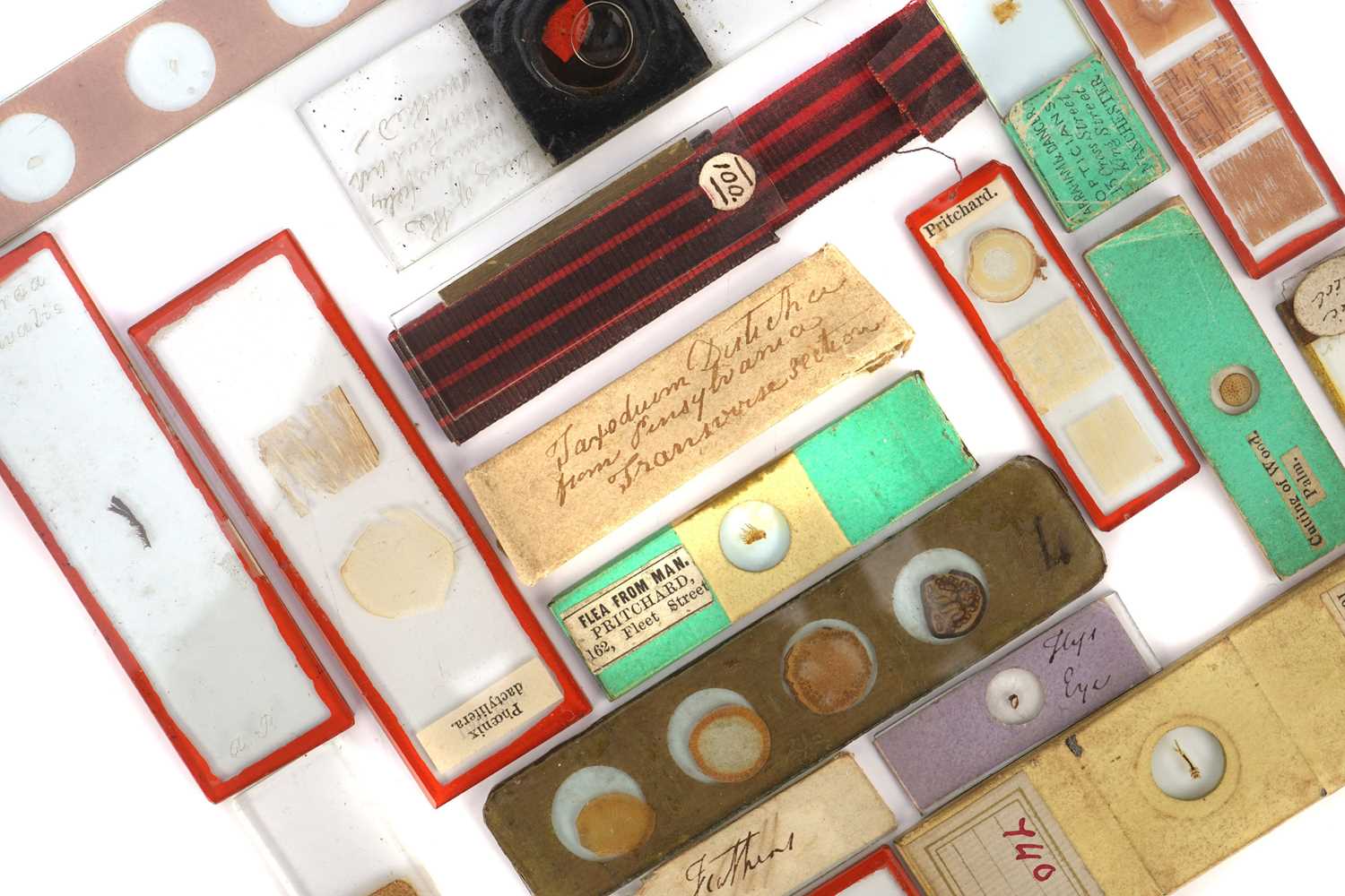 Lot 348 - A Collection of Early Microscope Slides