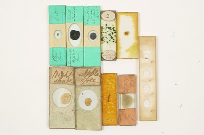 Lot 348 - A Collection of Early Microscope Slides