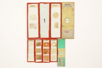 Lot 348 - A Collection of Early Microscope Slides