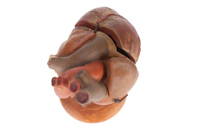 Lot 167 - Large Plaster Anatomical Model of a Heart