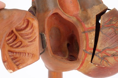 Lot 167 - Large Plaster Anatomical Model of a Heart