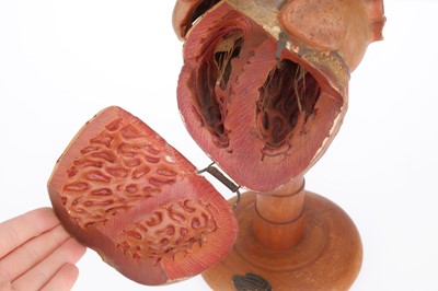 Lot 167 - Large Plaster Anatomical Model of a Heart