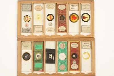 Lot 359 - A Small Case of Microscope Slides