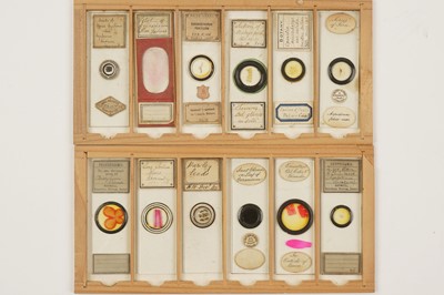 Lot 359 - A Small Case of Microscope Slides