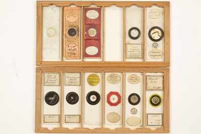 Lot 359 - A Small Case of Microscope Slides