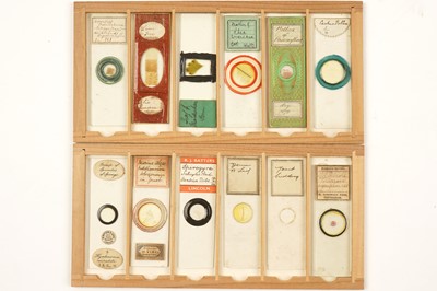 Lot 359 - A Small Case of Microscope Slides