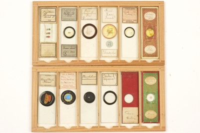 Lot 359 - A Small Case of Microscope Slides