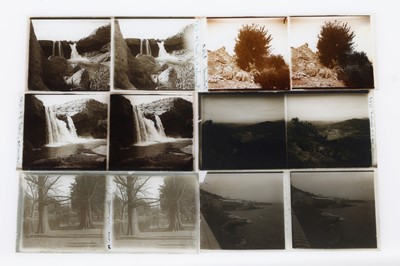 Lot 594 - Lafayette Studio Cards