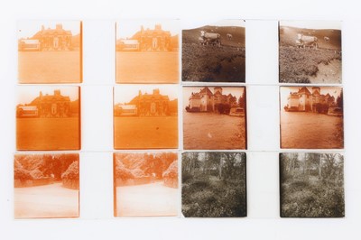 Lot 594 - Lafayette Studio Cards