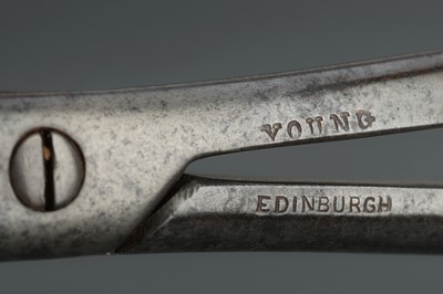 Lot 98 - Four Lithotomy Forceps