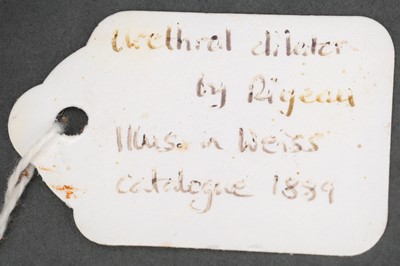Lot 83 - A Thompson’s Lithotrite