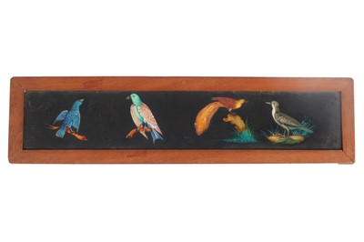 Lot 415 - Magic Lantern Birds