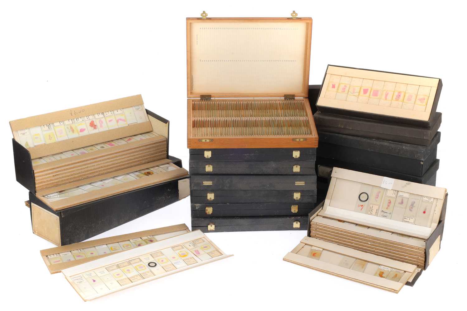 Lot 681 - A Large Collection of Microscope Path Lab Slides