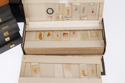 Lot 681 - A Large Collection of Microscope Path Lab Slides