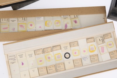 Lot 681 - A Large Collection of Microscope Path Lab Slides