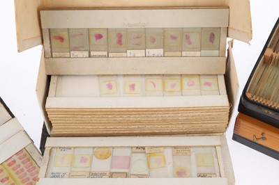 Lot 682 - A Large Collection of Microscope Path Lab Slides