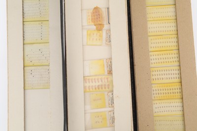 Lot 684 - A Large Collection of Microscope Path Lab Slides