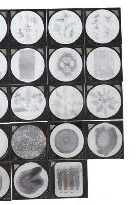 Lot 555 - A Collection of Magic Lantern Slides