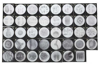 Lot 555 - A Collection of Magic Lantern Slides