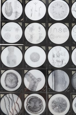 Lot 555 - A Collection of Magic Lantern Slides