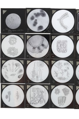 Lot 555 - A Collection of Magic Lantern Slides