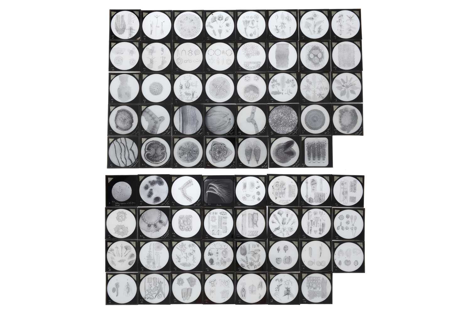 Lot 555 - A Collection of Magic Lantern Slides