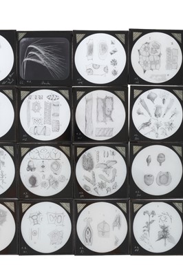 Lot 555 - A Collection of Magic Lantern Slides