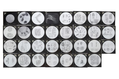 Lot 555 - A Collection of Magic Lantern Slides