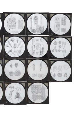 Lot 555 - A Collection of Magic Lantern Slides