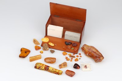 Lot 315 - Collection of Amber Specimens