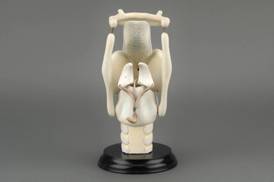 Lot 177 - Maison Auzoux (att) An Anatomical Model of the Human Larynx