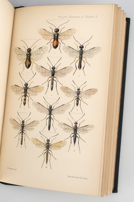 Lot 326 - A Monograph of the British Phytophagous Hymenoptera