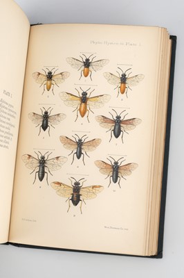 Lot 326 - A Monograph of the British Phytophagous Hymenoptera