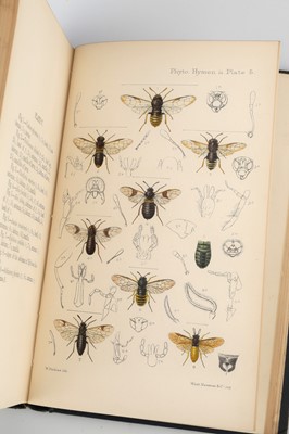 Lot 326 - A Monograph of the British Phytophagous Hymenoptera