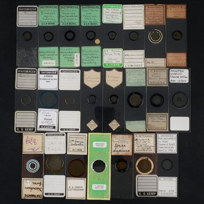 Lot 246 - Collection of Microscope Diatom Slides, Klaus Kemp Collection