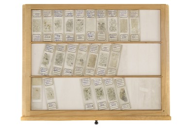 Lot 247 - Large University Collection of Geological Microscope Slides