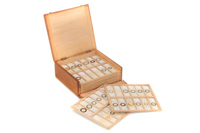 Lot 248 - Collection of 113 Diatom Microscope Slides