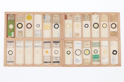 Lot 248 - Collection of 113 Diatom Microscope Slides
