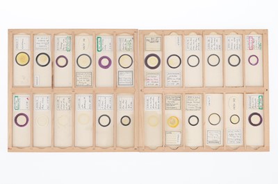 Lot 248 - Collection of 113 Diatom Microscope Slides