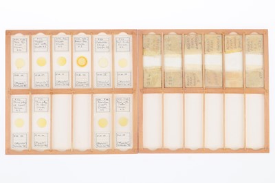 Lot 248 - Collection of 113 Diatom Microscope Slides