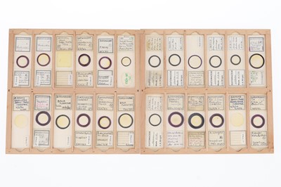 Lot 248 - Collection of 113 Diatom Microscope Slides
