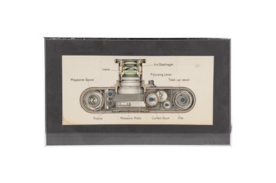 Lot 113 - Two Early Leica Cross-Section Prints